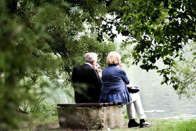 A Brief Overview of the Latest Advancements in Alzheimer's Research