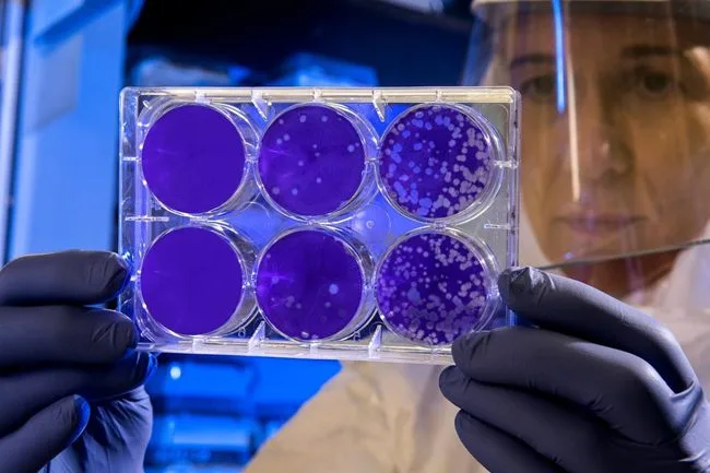 The Science Behind NMN